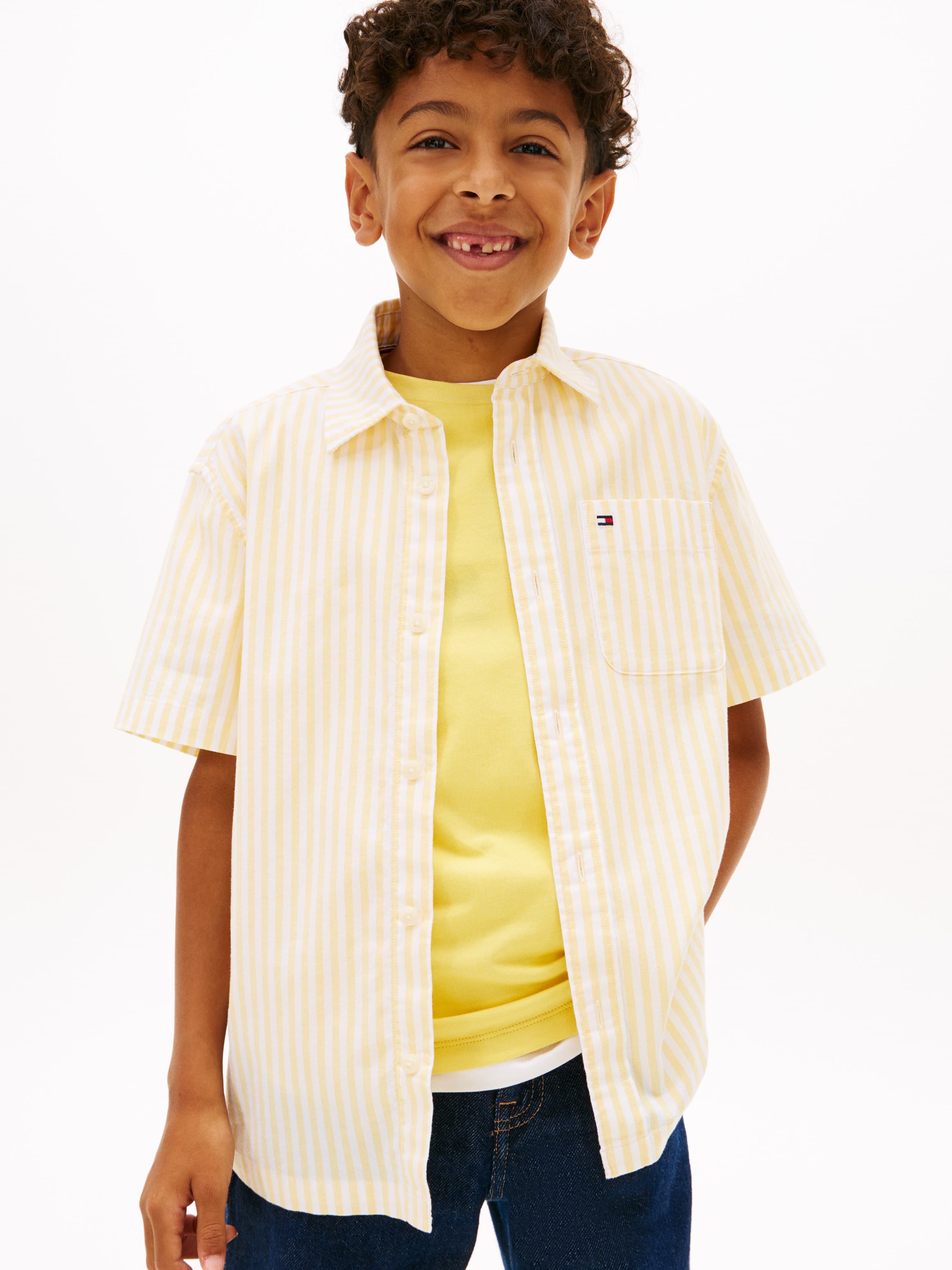 Ithaca Stripe Short Sleeve Oxford Shirt